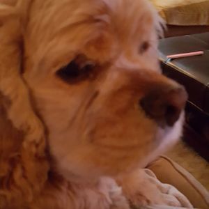 Meet your Posher, Karen